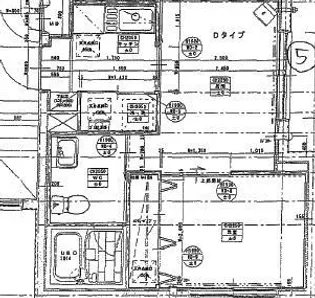 ブランノワールエピオス【405号室】の間取り