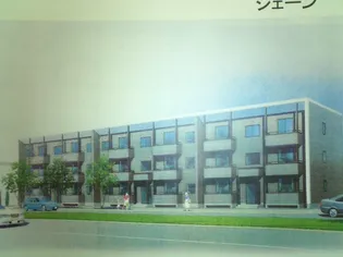 シェーンの画像