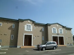 アクティブ豆の木の画像