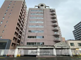 ビッグバーンズマンションN11【502号室】の外観