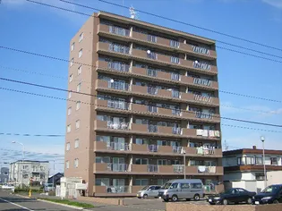 エスタシオンイカワⅢ【8階】の外観