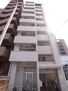 エルシー1の画像