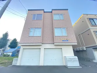 プルメリアN20の画像