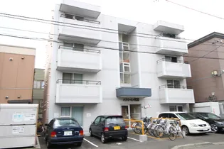 パラシオンN29の画像