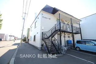 チェルシー37の画像