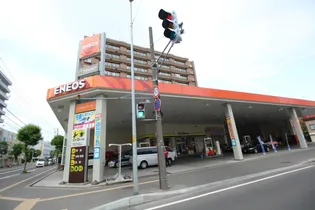 REGALO菊水二条【901号室】の周辺