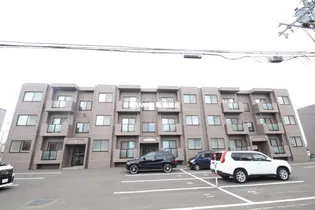 スールアスセーナの画像