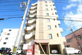 カハラコート2NDの画像