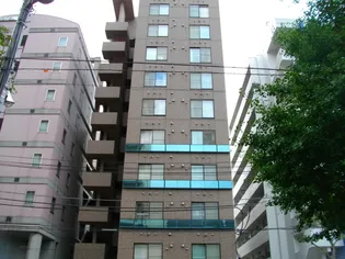 サザンフォレスト北大【8階】の外観