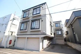 ピュアN11の画像