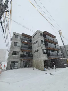 ZIZI QUATREの画像