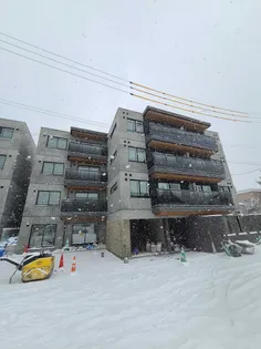 ZIZI QUATREの画像