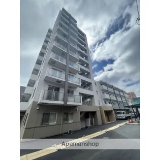 SAPHIR菊水の画像