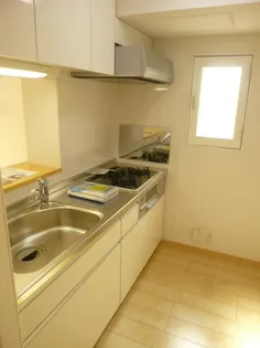 リアライズⅡ【4階】のキッチン