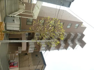 レジーナN20の画像