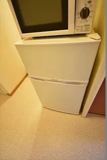 レオパレスサーヤノード【203号室】の内装