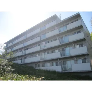 ミリオンスターヒルズの画像