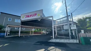 プルメリアの画像