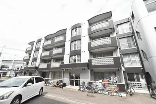 ハイムカトレアAの画像