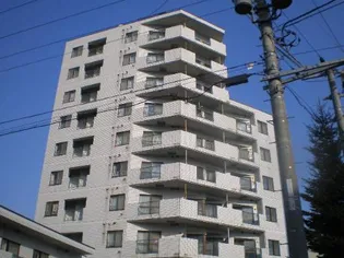 白石コートの画像