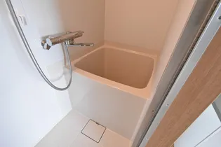 サン・シャイン【205号室】の風呂