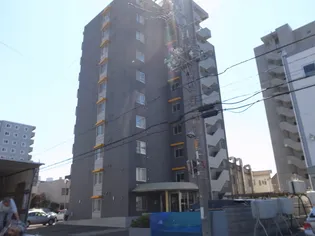 サイラム雅の画像