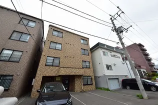 ジプソフィラの画像