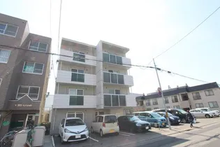 ピージー サヤの画像