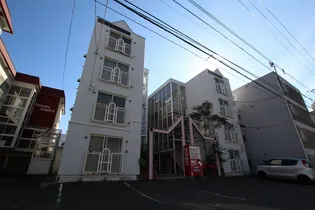 ローヤルハイツ中の島 A棟の画像