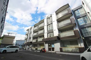 ハイムカトレアAの画像