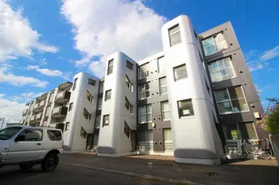 ハイムカトレアBの画像