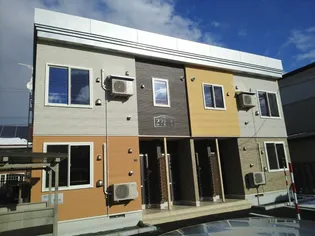 プラシードKの画像