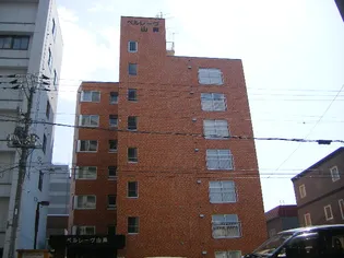 北海道札幌市中央区南十三条西7丁目【マンション】の外観