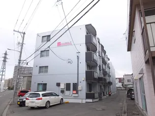 ハイムカトレアAの画像