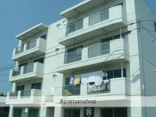 ハイム真木の画像