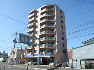 フェニックス真栄【501号室】の外観