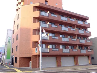 第10森宅建豊平ビルの画像