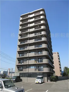 スターヒルズの画像