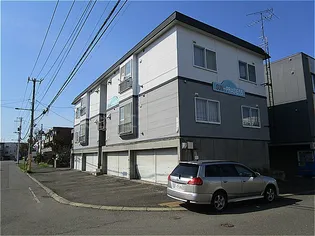 サンプレイズ55の画像