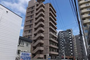 セントポーリアクレアの画像