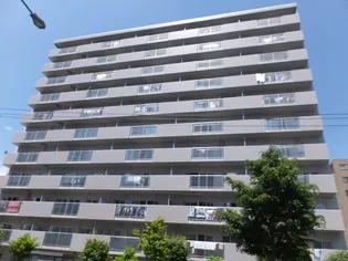 シャロームの画像