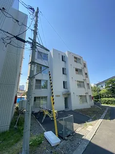 ティファニーZの画像