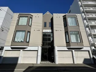 ドミールモエ南郷通13【203号室】の外観