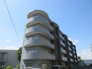 カントリーアヴェニューの画像