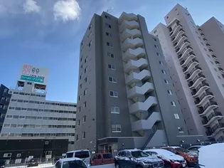 カノントヨヒラの画像