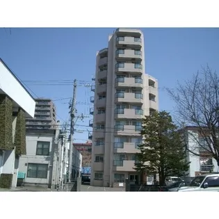 藤井ビル中の島Ⅱ【8階】の外観