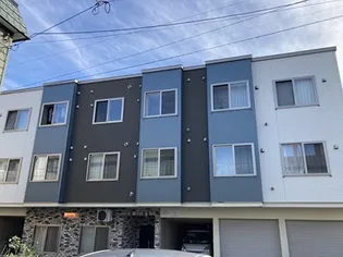 ノラヴェールの画像