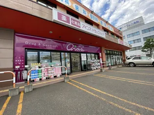 ALPHA平岸【1階】の周辺