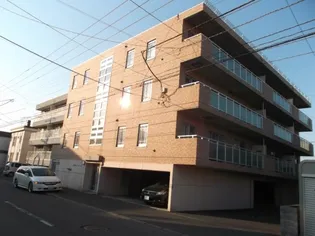 ラフィーコートの画像