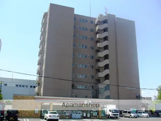 ハイブライト平岡の画像